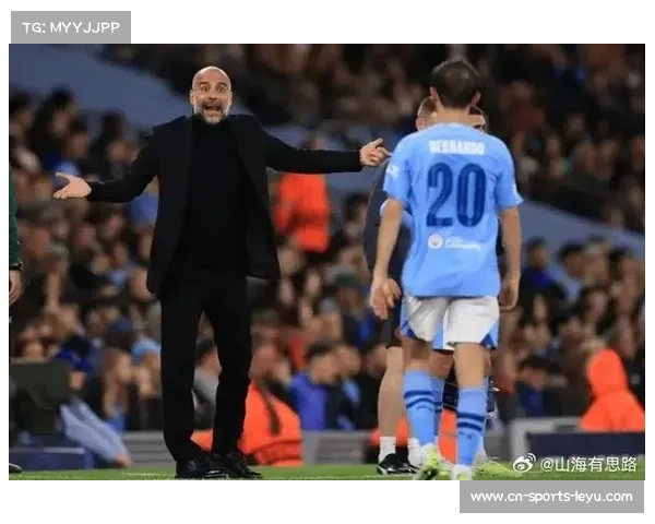 里昂上诉成功推动欧足联修订财务公平法案实施细则 里昂上诉成功推动欧足联修订财务公平法案实施细则